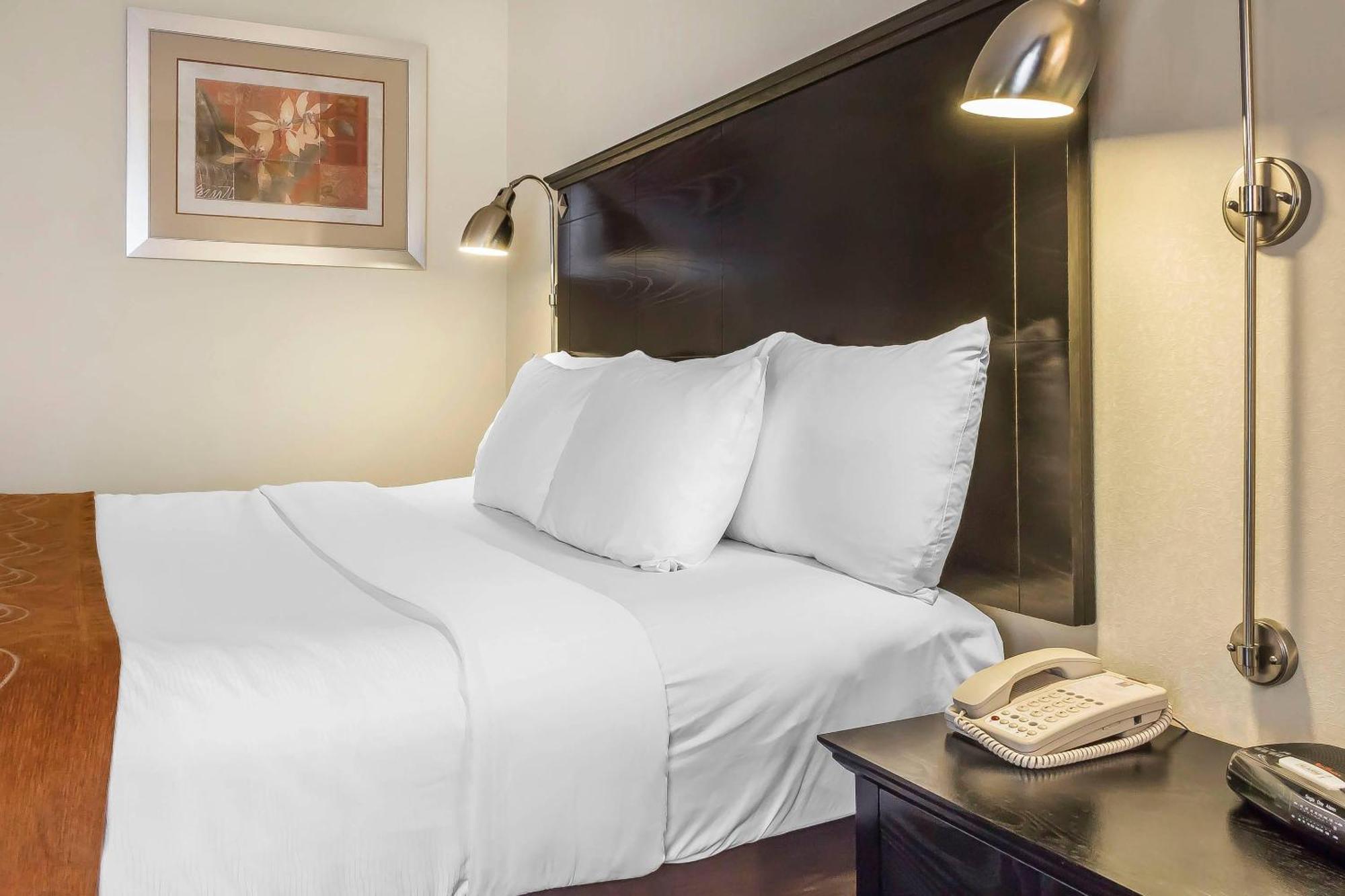 King Room Disability Access