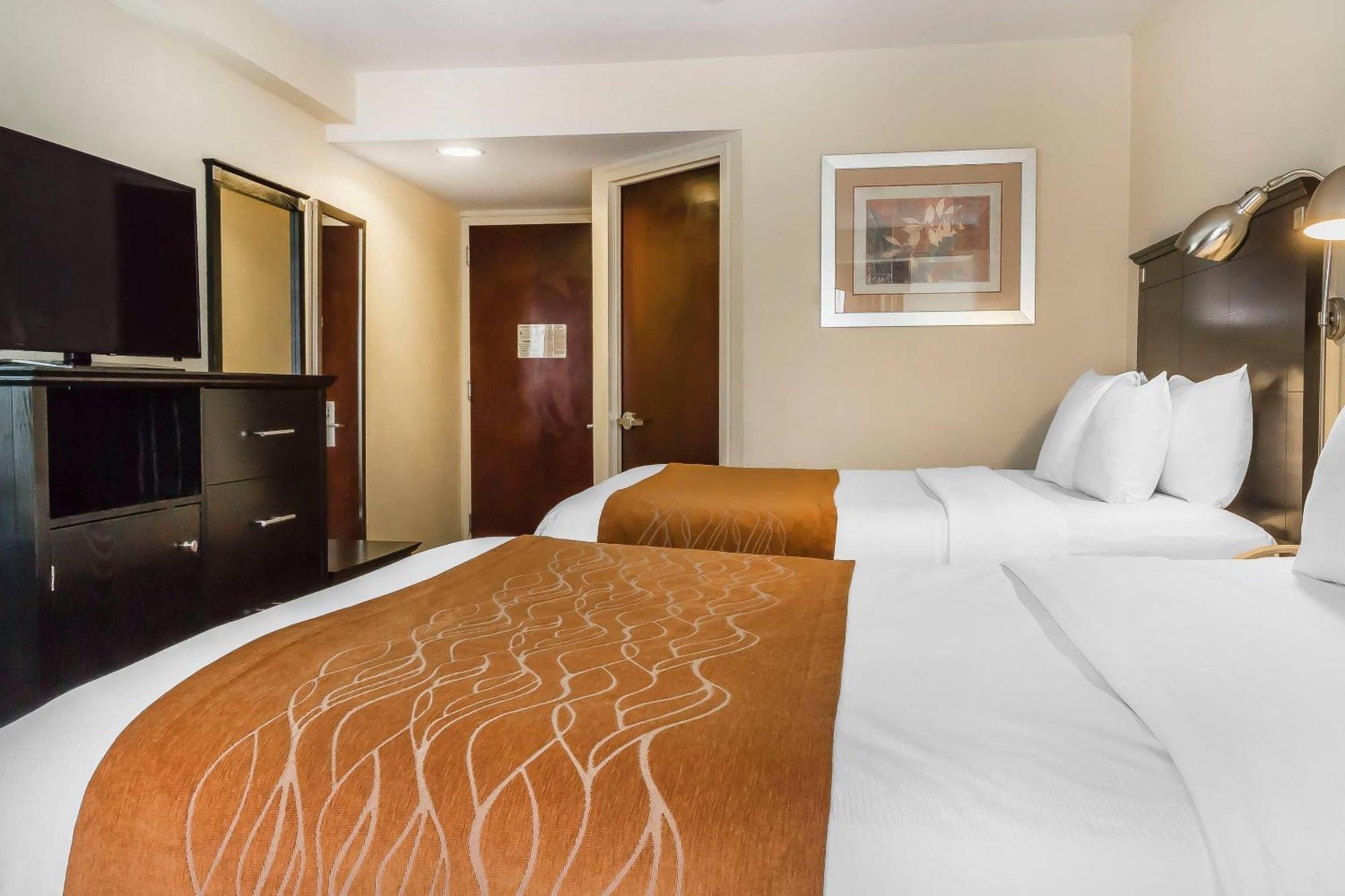 Queen Room Two Queen Beds