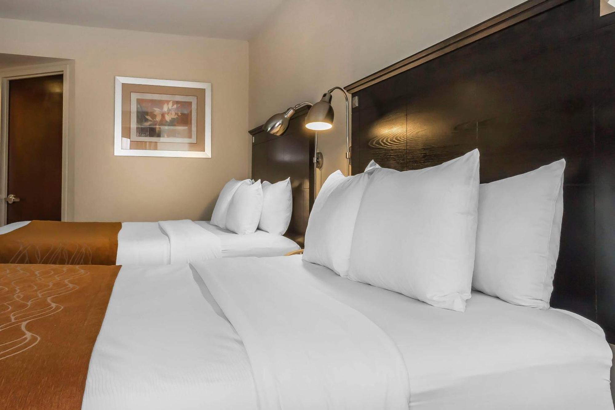 Queen Room Two Queen Beds
