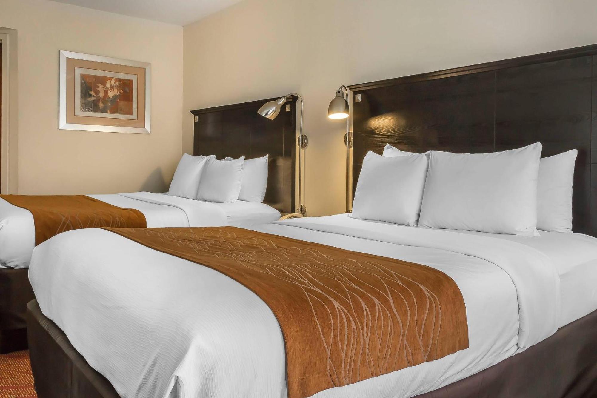 Queen Room Two Queen Beds