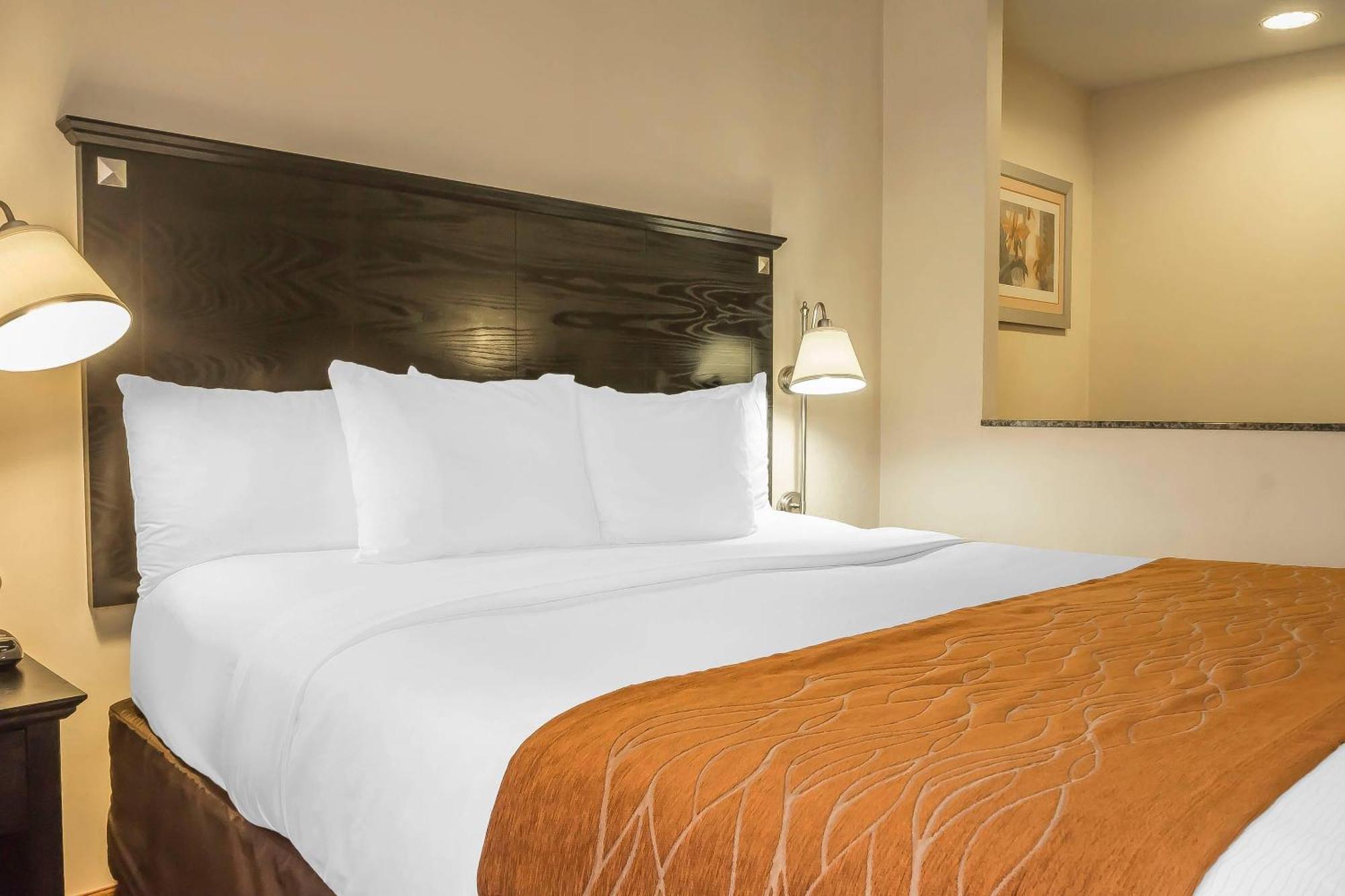 Suite King Bed