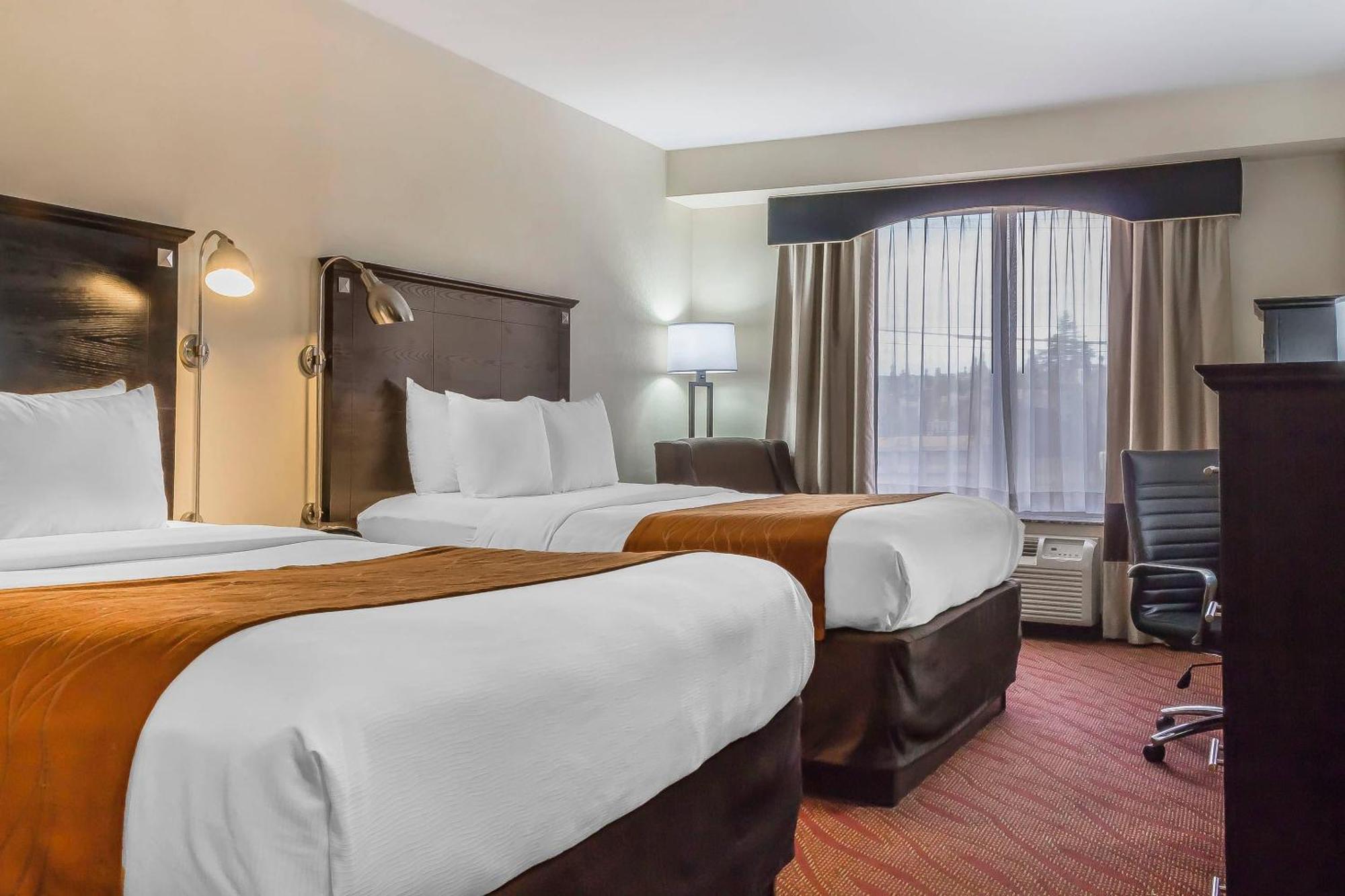 Queen Room Two Queen Beds