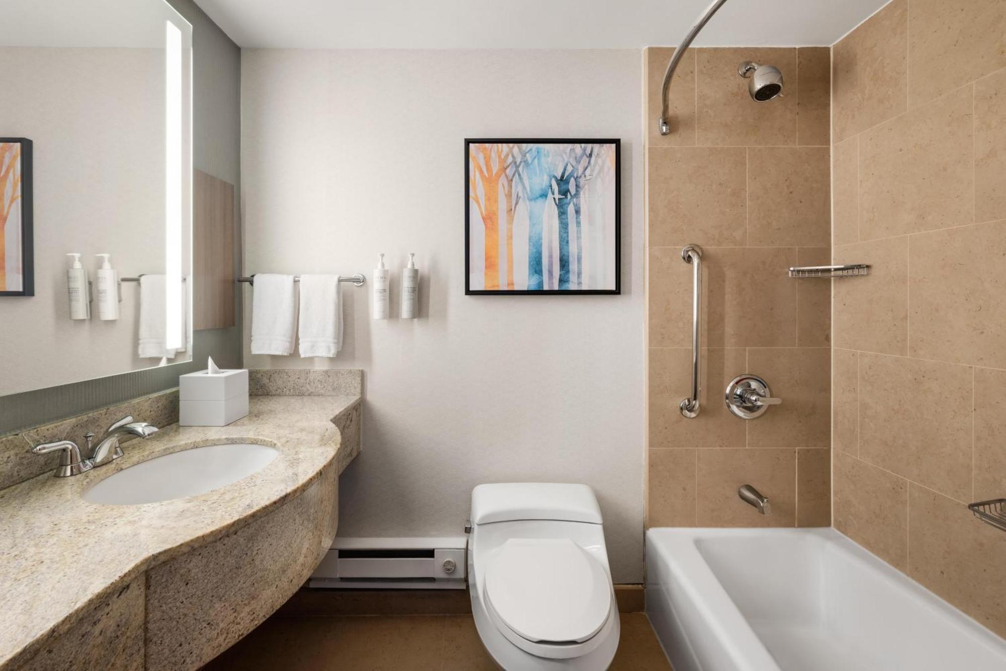 King Room Bath Tub Mobility Access Non-Smoking