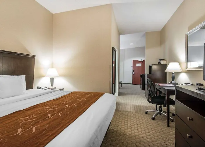 Comfort Suites Vestal Near University