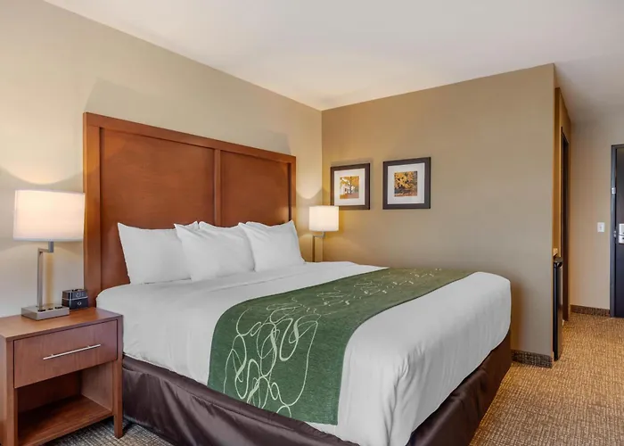 Comfort Inn & Suites Schenectady - Scotia