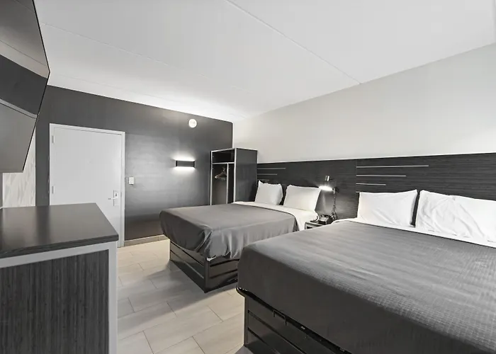 Casa Azul Hotel Blu-Ubs Arena New York acceptant les animaux