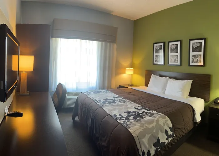 Huisdiervriedelijke Cresthaven Inn Jamaica-Jfk New York