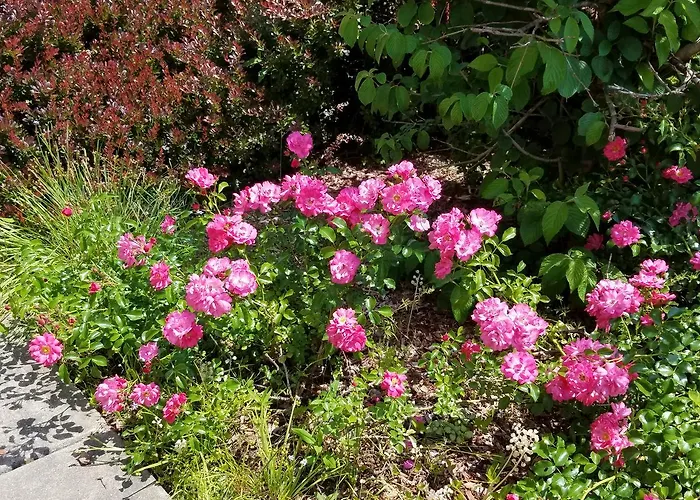 The Roselea Bed & Breakfast Baldwinsville