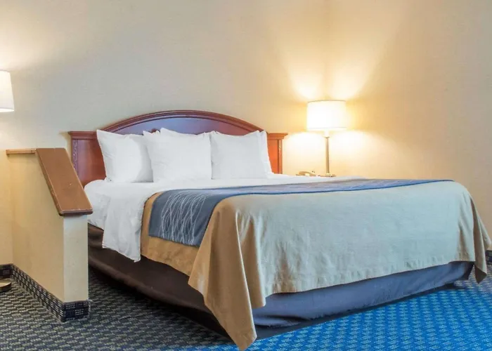 Hammock Hotel Rochester Niagara Falls